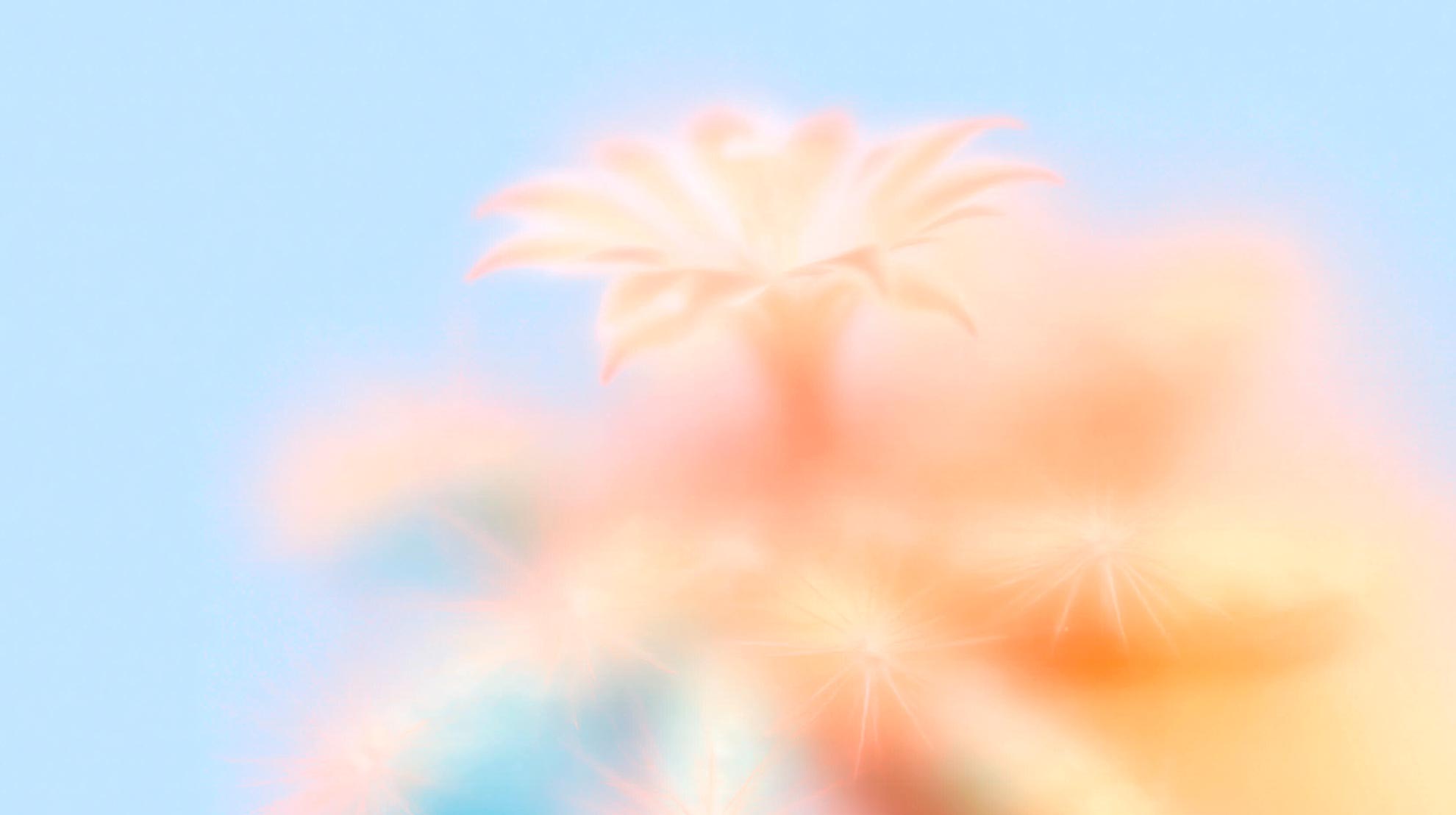 Plant visual representing growth